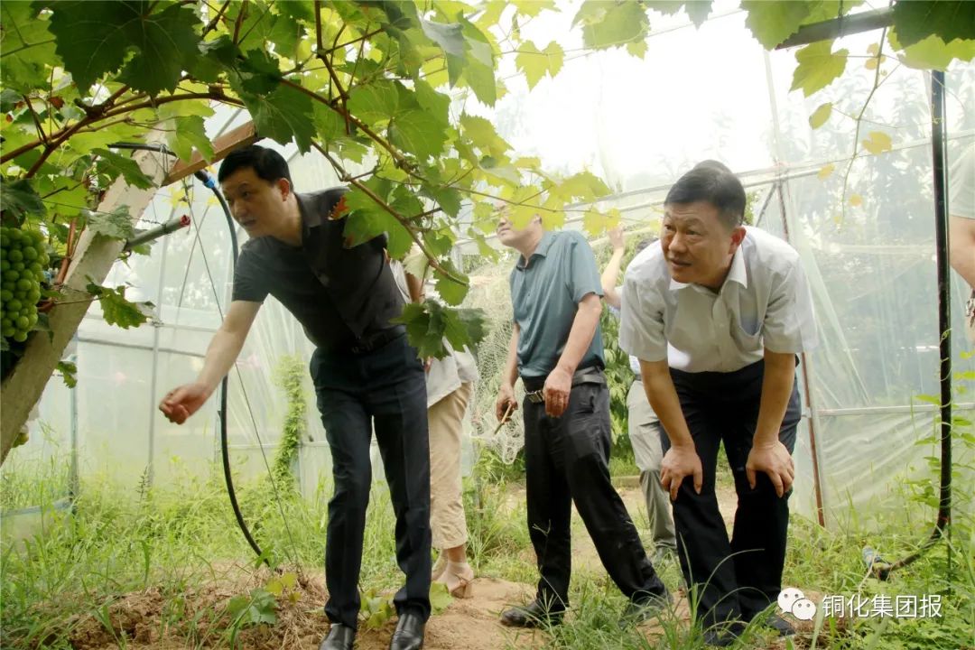 南宫NG28官网-不凡成绩非凡,相信品牌的实力