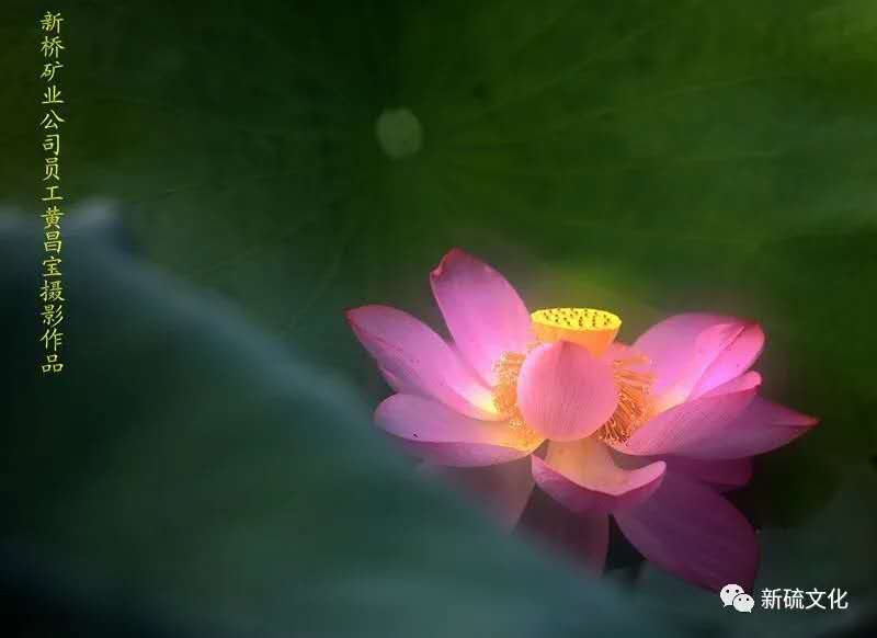 南宫NG28官网-不凡成绩非凡,相信品牌的实力