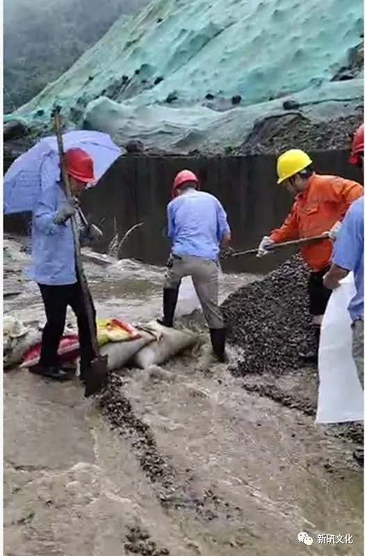 南宫NG28官网-不凡成绩非凡,相信品牌的实力