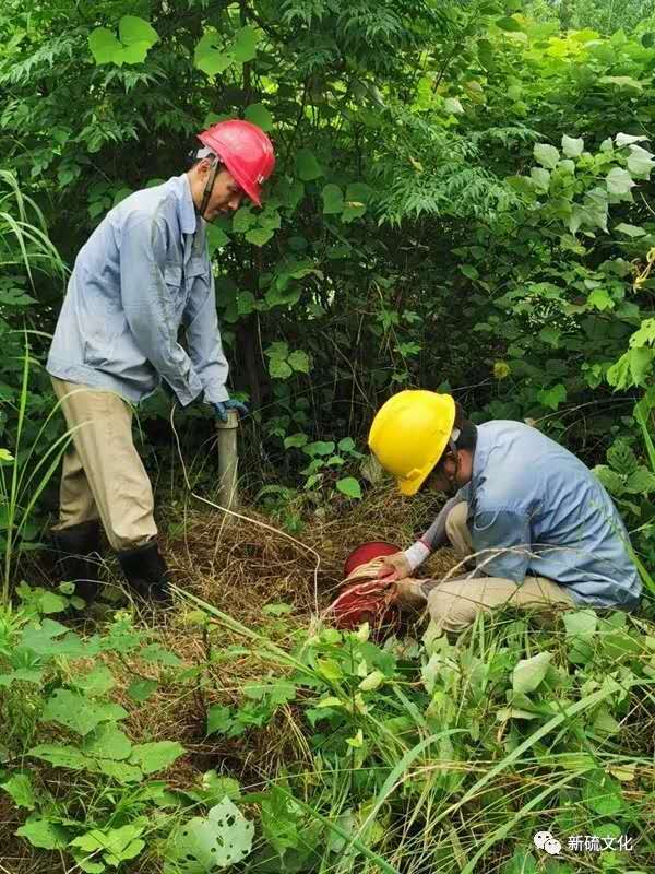 南宫NG28官网-不凡成绩非凡,相信品牌的实力